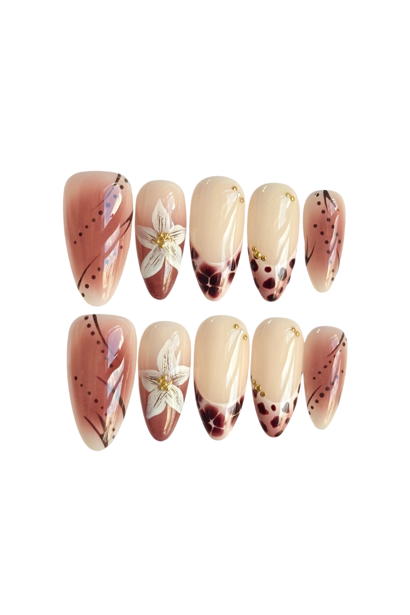 Cinnamon Lily